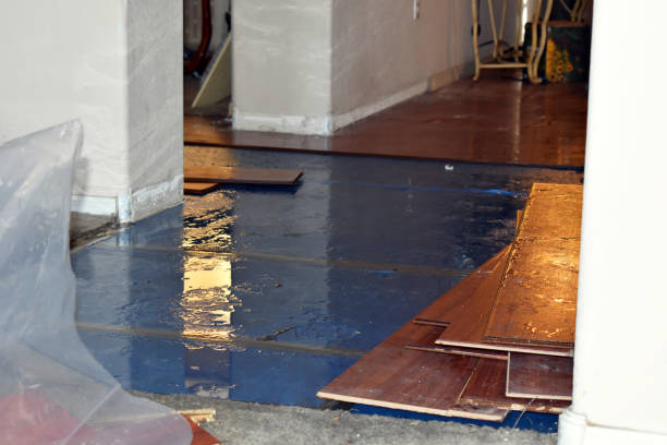 Professional Basement Flood Cleanup technician working in Acushnet, MA